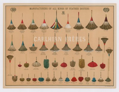 Poster Advertising All Kinds of Feather Dusters by French School