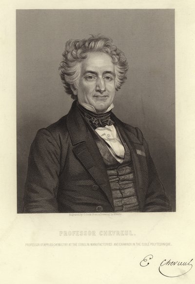 Professor Chevreul by French School