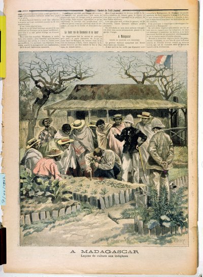 Teaching methods of cultivation to the natives of Madagascar, from Le Petit Journal, 7th November 1896 by French School