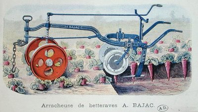 The Bajac Machine for lifting beetroot by French School