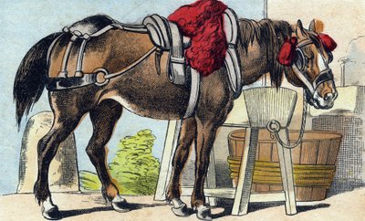The Horse (Engraving in "Buffon Alphabet des Animaux") by French School