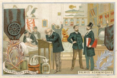 Trade card with an image of the Ordre des Palmes Academiques by French School
