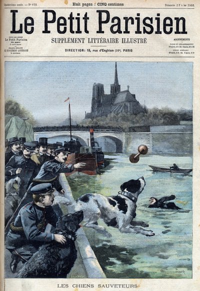 Training of rescue dogs by the police in the Seine in Paris. Engraving in 