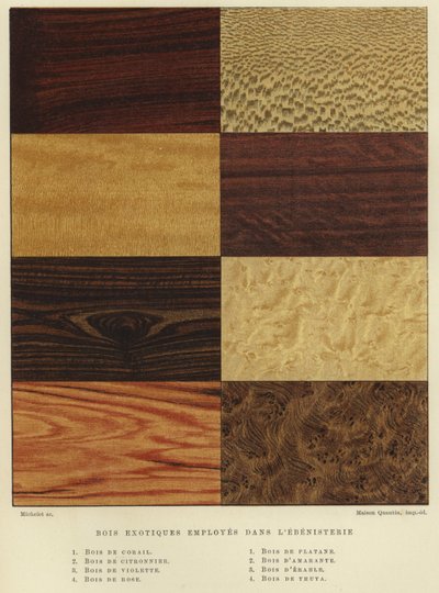 Types of Exotic Wood Used in Cabinet Making by French School