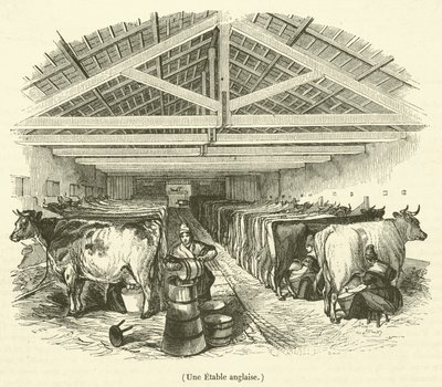 An English Stable by French School