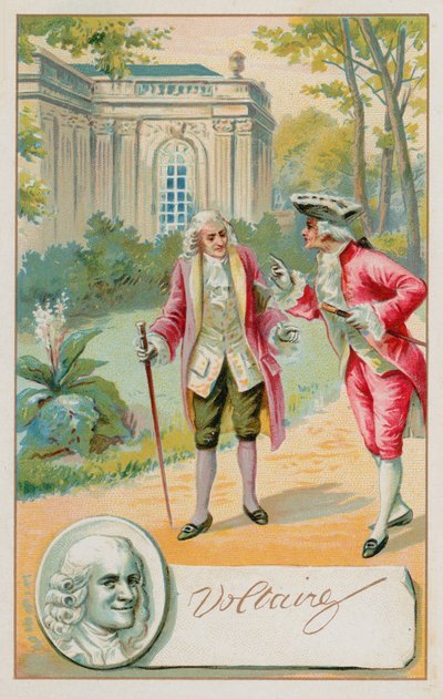Voltaire, French Enlightenment writer, historian and philosopher by French School