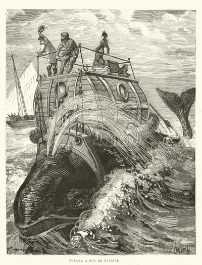 Voyage on the Back of a Whale by French School