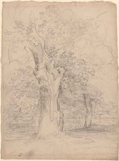 An Ancient Tree with Figures in a Landscape by Friedrich Salathé