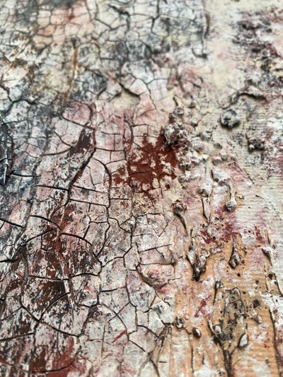 Cracked Earthy Texture by Gabriela Aleksandra Szuba