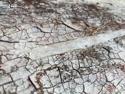 Cracked White Surface by Gabriela Aleksandra Szuba