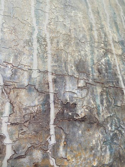 Weathered Grunge Texture by Gabriela Aleksandra Szuba