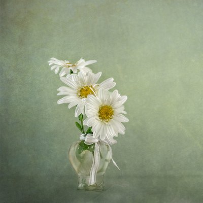 White Daisies In Vase by Gaille Gray