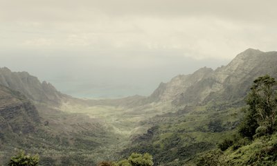 Lush Tropical Valley by Gemma Bardot