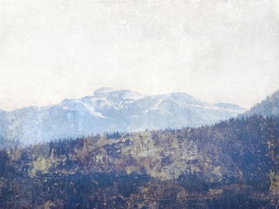 Misty Mountain Forest by Gemma Bardot