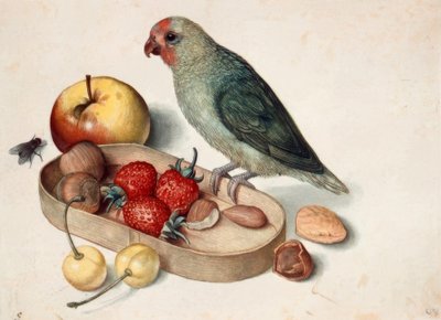 Still Life with Lovebird by Georg Flegel