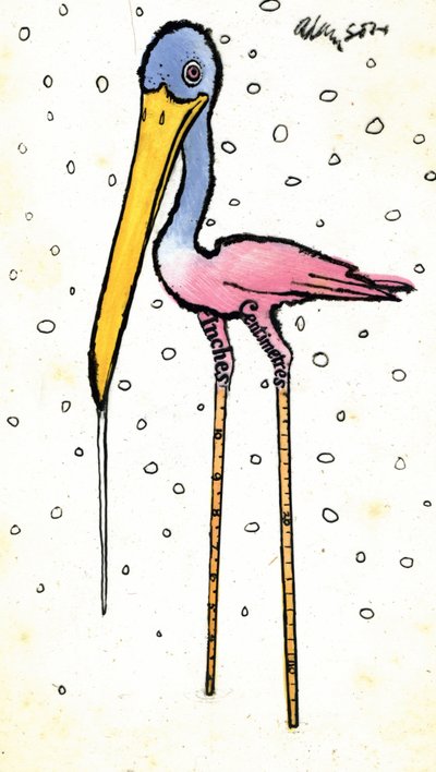 Stork with Calibrated Shanks, 1970s by George Adamson