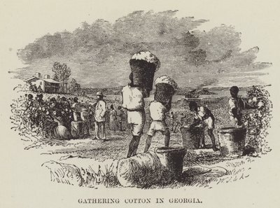 Gathering Cotton in Georgia by George Augustus Sala