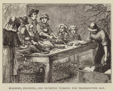 Scalding, Plucking, and Plumping Turkeys for Thanksgiving Day by George Augustus Sala