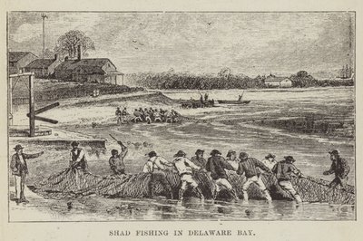 Shad Fishing in Delaware Bay by George Augustus Sala