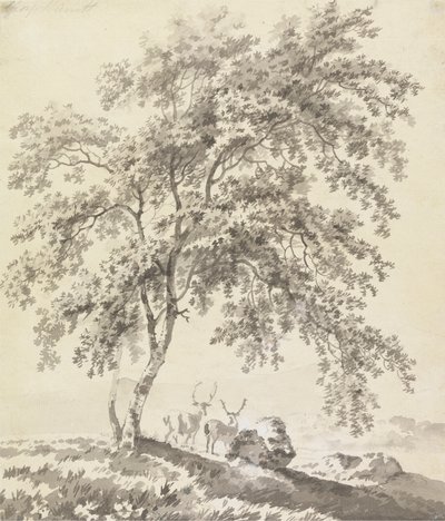 Tree Study with Stags (Landscape) by George Barret