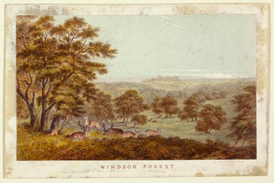 Windsor Forest (Pocket Book version) by George Baxter