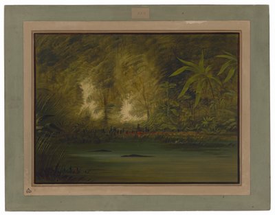 A Lagoon of the Upper Amazon by George Catlin