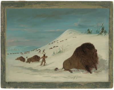 Buffalo Lancing in the Snow Drifts by George Catlin