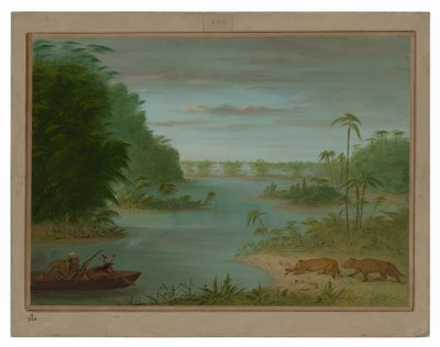 Pont de Palmiers and Tiger Shooting by George Catlin