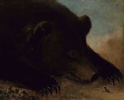 Portraits of a Grizzly Bear and Mouse, Life Size by George Catlin