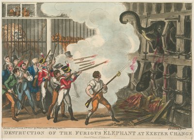 Destruction of the Furious Elephant at Exeter Change by George Cruikshank