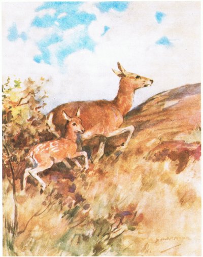 Tawny Turned and Fled, Urging Rusty to Follow Her by George Denholm Armour