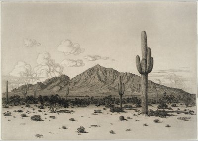 Camelback Mountain, Phoenix by George Elbert Burr