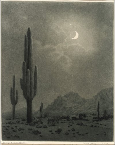 New Moon and Evening Star, Phoenix by George Elbert Burr