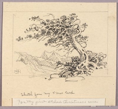 Sketch for Christmas Card (Windswept Pine [no. 1]) by George Elbert Burr