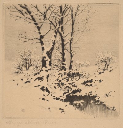 Snow by George Elbert Burr