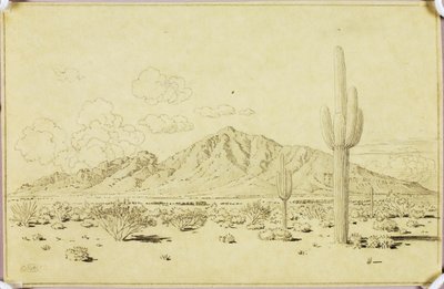 Untitled (Transfer Drawing for Camelback Mountain, Phoenix) by George Elbert Burr