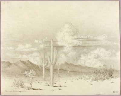 Untitled (transfer drawing for Evening, Paradise Valley, Arizona) by George Elbert Burr