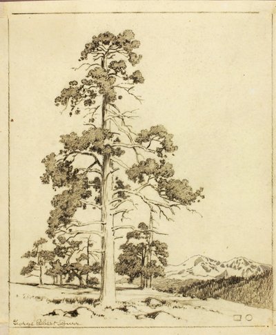 Untitled (transfer drawing for print) by George Elbert Burr