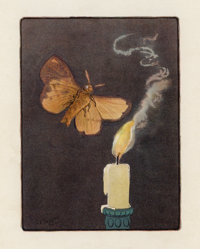 The Moth by George Henry Thompson