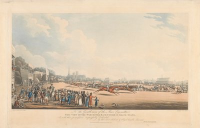 View of the Worcester Race-Course and Grand Stand by George Hunt