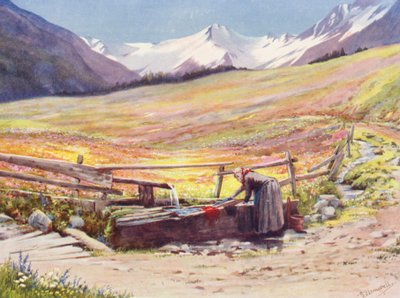 Early-June Fields Beyond Praz de Fort in the Val Ferret, Backed by the Groupe du Grand Saint-Bernard et du Grand Golliaz by George Jackson Flemwell