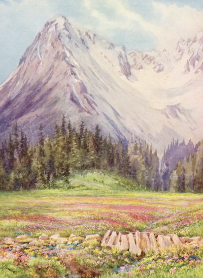 Gentiana Verna and Primula Farinosa on the Lower Fields of Champex by George Jackson Flemwell