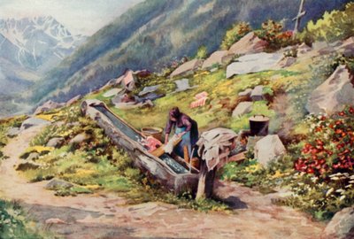 In the Valley of Chamonix by George Jackson Flemwell