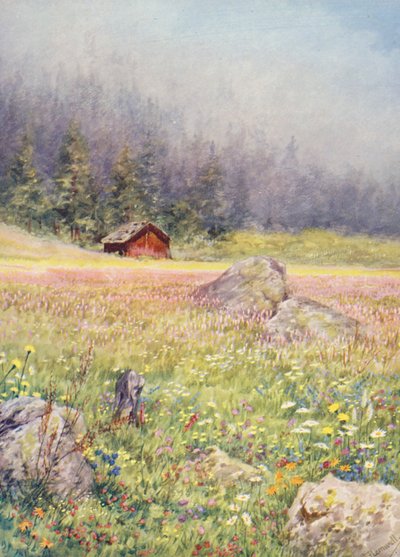 In the early-July fields at Champex by George Jackson Flemwell