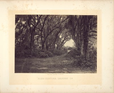 Buen-Ventura Savannah, Georgia by George N. Barnard