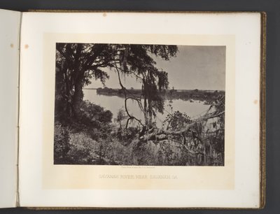 Savannah River, Near Savannah, Georgia by George N. Barnard