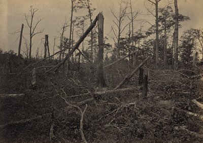 The "Hell Hole" New Hope Church, Georgia by George N. Barnard