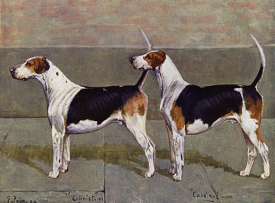 The Puckeridge Foxhounds Colonist and Cardinal by George Paice