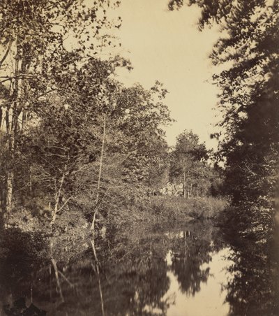 The Dell, 1863 by George Rockwood Gardner