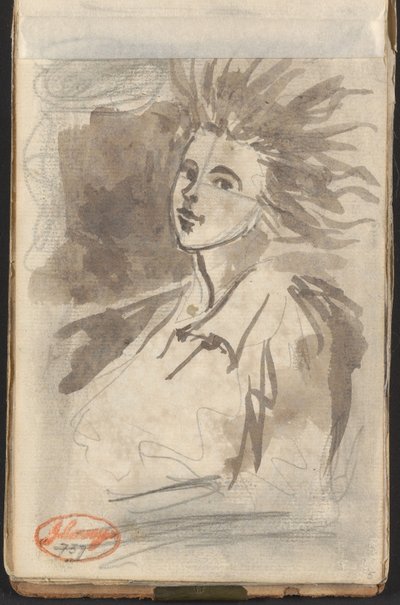 Lady with Streaming Hair by George Romney